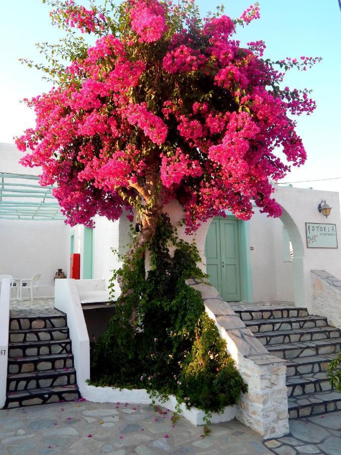 Astoria Paros Apartment Naousa  Ngoại thất bức ảnh